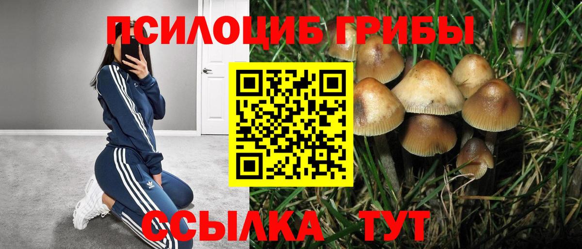 Галлюциногенные грибы Psilocybine cubensis  Вход с VPN  Партизанск 
